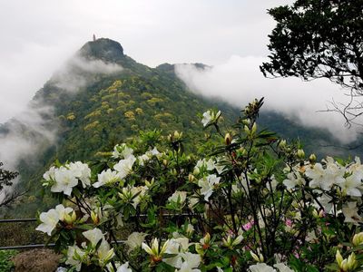 vuon quoc gia ba vi ha noi