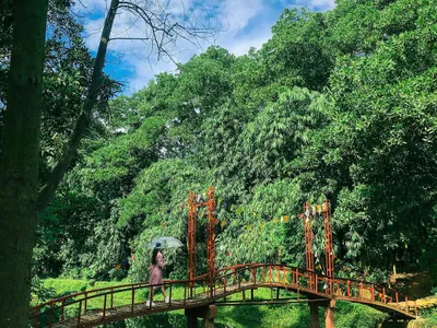 kinh nghiem du lich khu sinh thai my hill dong quan soc son ha noi