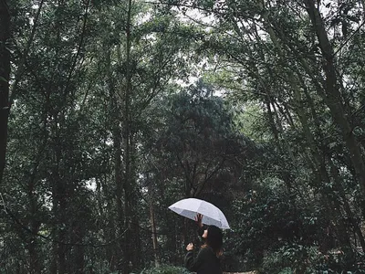 kinh nghiem du lich khu sinh thai my hill dong quan soc son ha noi