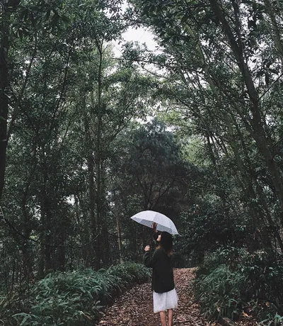 kinh nghiem du lich khu sinh thai my hill dong quan soc son ha noi