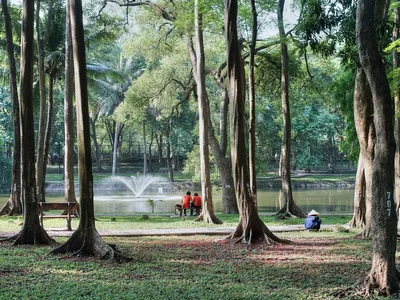 vuon bach thao ha noi