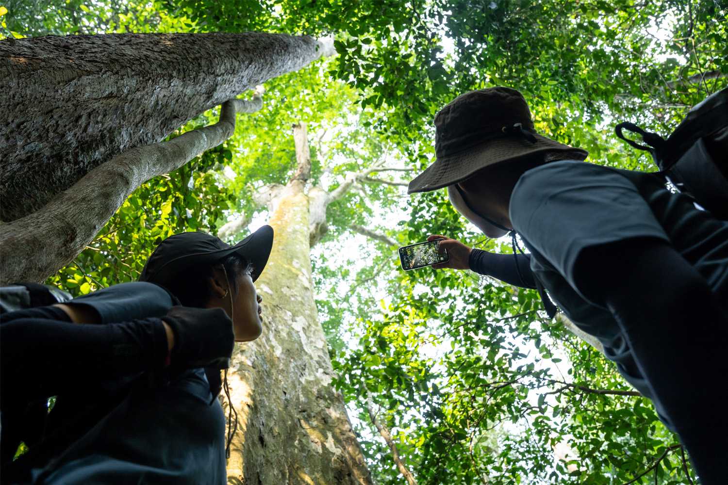 he thuc vat phong phu o quang binh 1